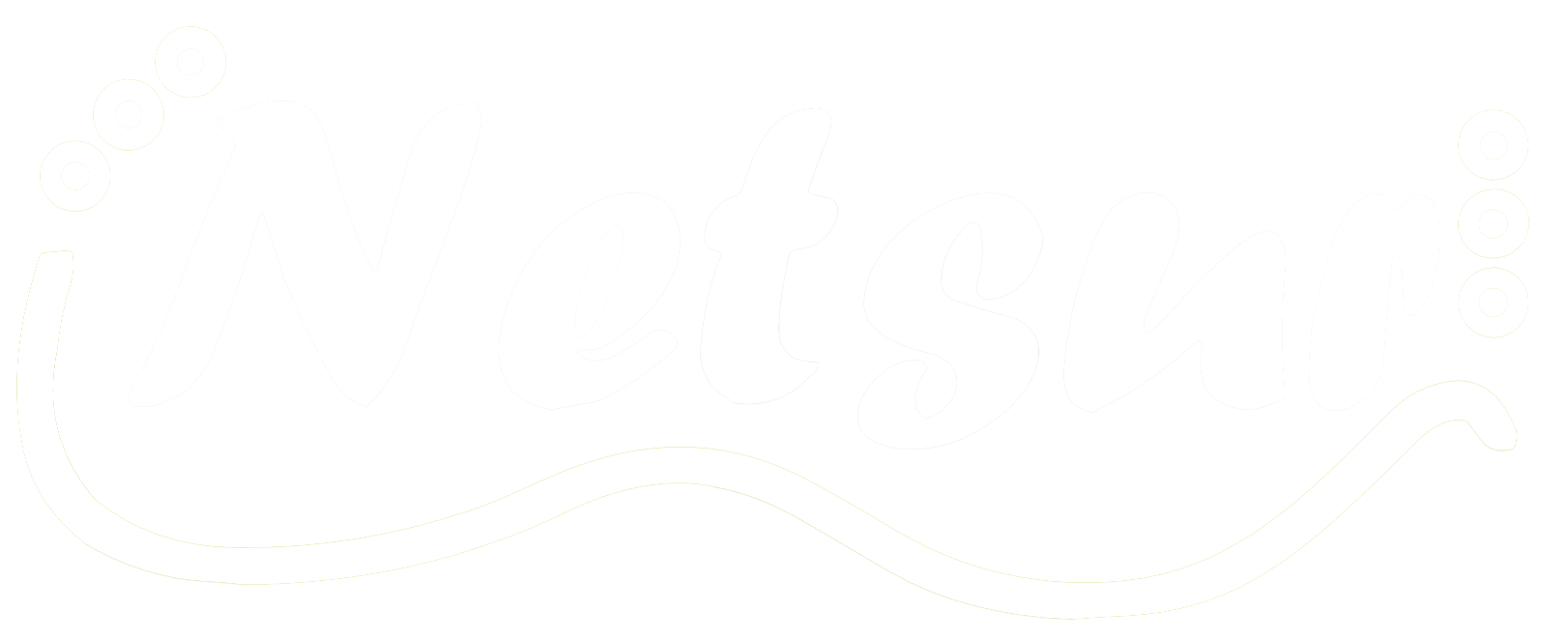 NetSur
