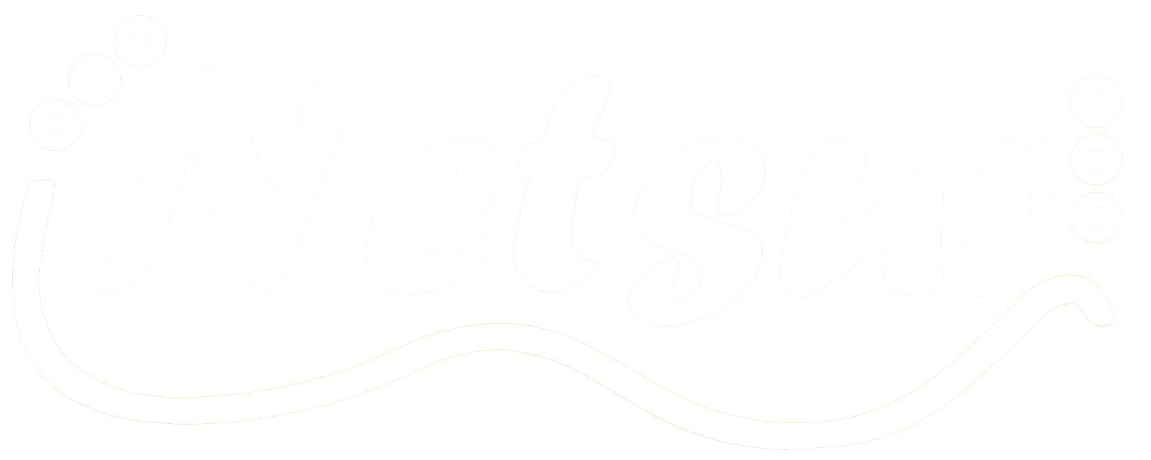 logo netsur